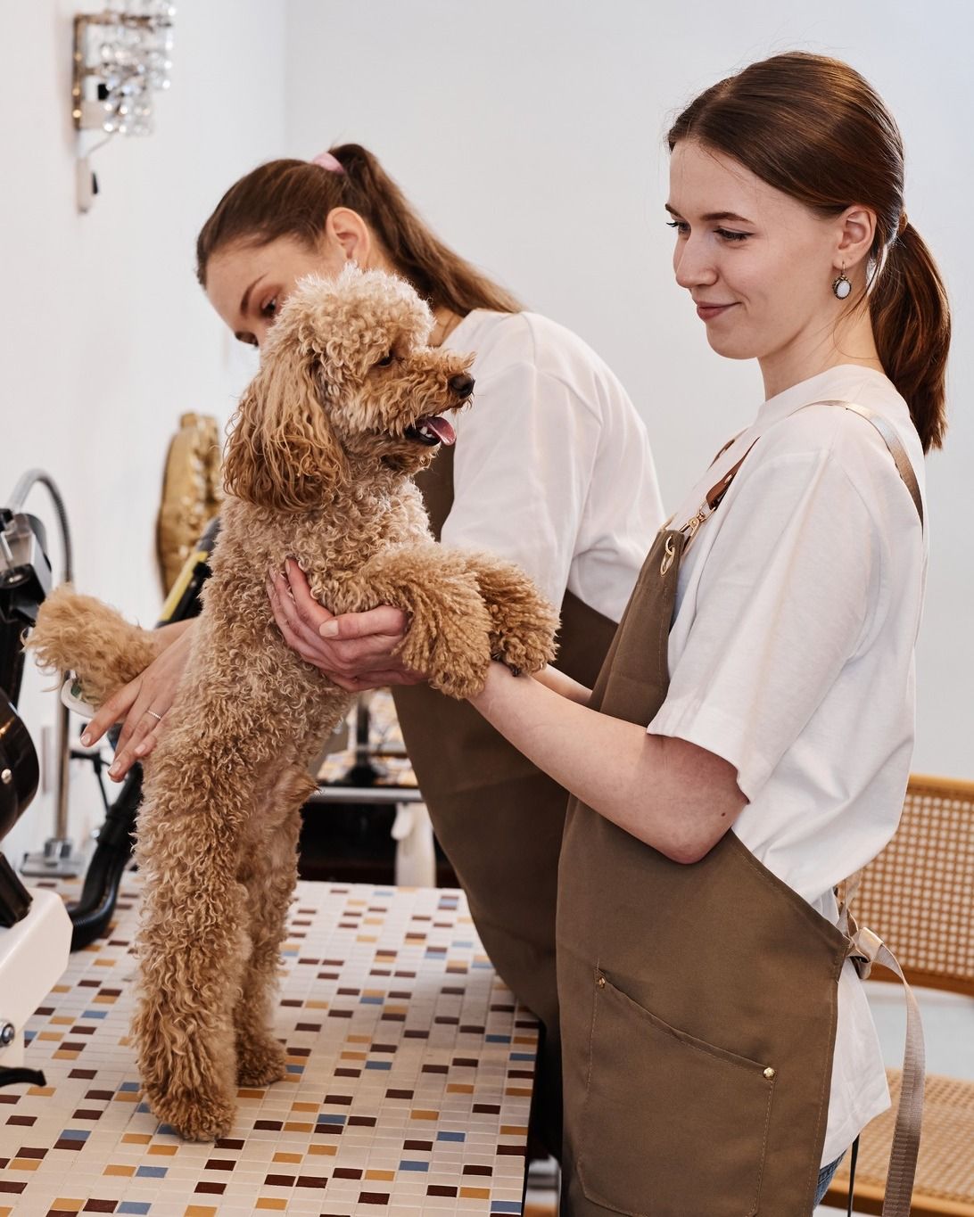 Grooming Studio